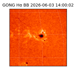 gong - 2026-06-03T14:00:02
