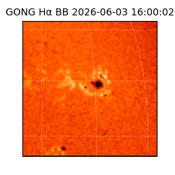 gong - 2026-06-03T16:00:02