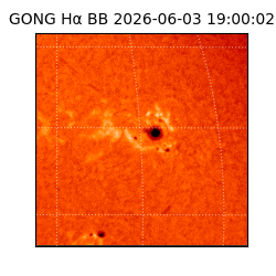gong - 2026-06-03T19:00:02