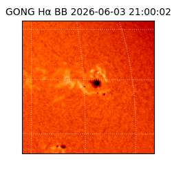 gong - 2026-06-03T21:00:02