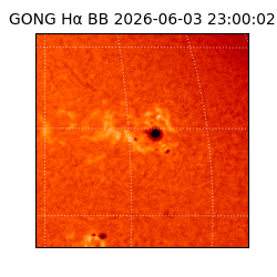 gong - 2026-06-03T23:00:02