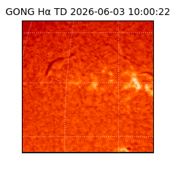 gong - 2026-06-03T10:00:22