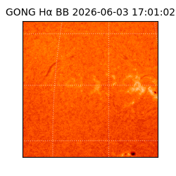 gong - 2026-06-03T17:01:02