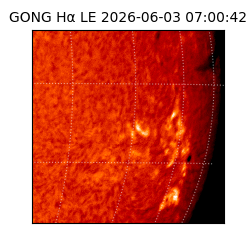 gong - 2026-06-03T07:00:42