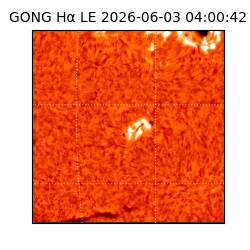gong - 2026-06-03T04:00:42