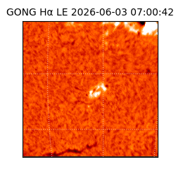 gong - 2026-06-03T07:00:42
