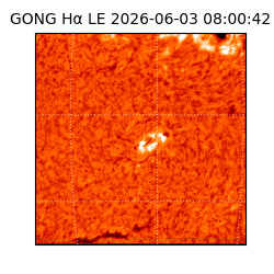 gong - 2026-06-03T08:00:42