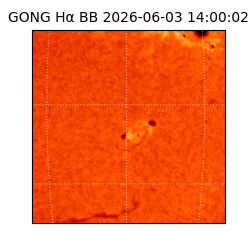 gong - 2026-06-03T14:00:02