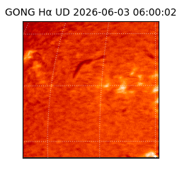gong - 2026-06-03T06:00:02