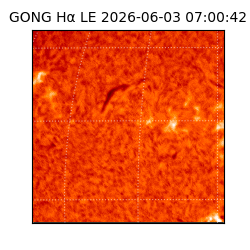 gong - 2026-06-03T07:00:42