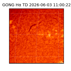 gong - 2026-06-03T11:00:22