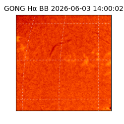 gong - 2026-06-03T14:00:02