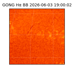 gong - 2026-06-03T19:00:02