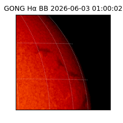 gong - 2026-06-03T01:00:02