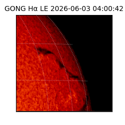 gong - 2026-06-03T04:00:42