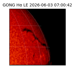 gong - 2026-06-03T07:00:42