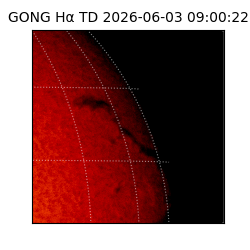 gong - 2026-06-03T09:00:22