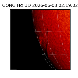 gong - 2026-06-03T02:19:02