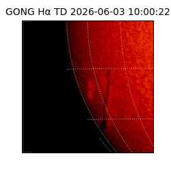 gong - 2026-06-03T10:00:22