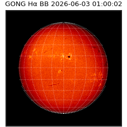 gong - 2026-06-03T01:00:02
