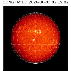 gong - 2026-06-03T02:19:02
