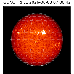 gong - 2026-06-03T07:00:42
