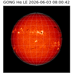 gong - 2026-06-03T08:00:42