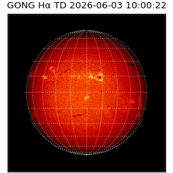 gong - 2026-06-03T10:00:22