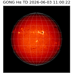 gong - 2026-06-03T11:00:22