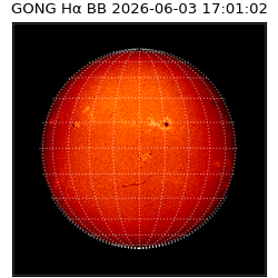 gong - 2026-06-03T17:01:02