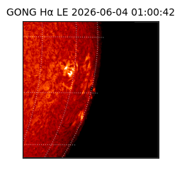 gong - 2026-06-04T01:00:42