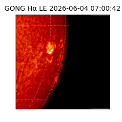 gong - 2026-06-04T07:00:42