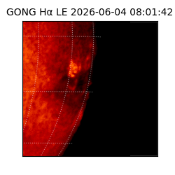 gong - 2026-06-04T08:01:42