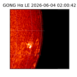 gong - 2026-06-04T02:00:42