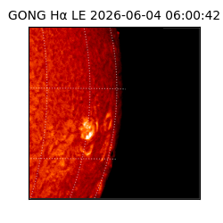 gong - 2026-06-04T06:00:42
