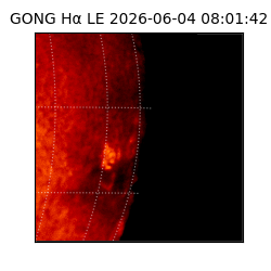 gong - 2026-06-04T08:01:42