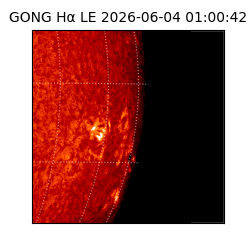 gong - 2026-06-04T01:00:42