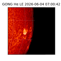 gong - 2026-06-04T07:00:42