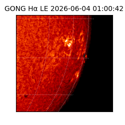 gong - 2026-06-04T01:00:42