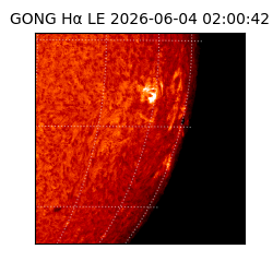 gong - 2026-06-04T02:00:42