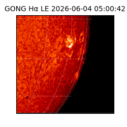 gong - 2026-06-04T05:00:42