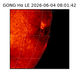 gong - 2026-06-04T08:01:42