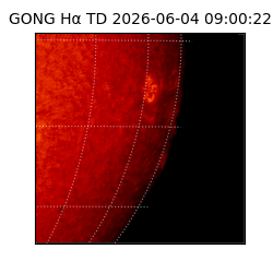 gong - 2026-06-04T09:00:22