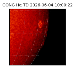 gong - 2026-06-04T10:00:22
