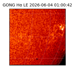 gong - 2026-06-04T01:00:42