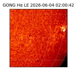 gong - 2026-06-04T02:00:42