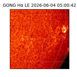 gong - 2026-06-04T05:00:42
