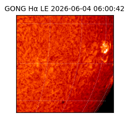 gong - 2026-06-04T06:00:42