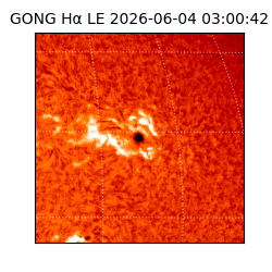 gong - 2026-06-04T03:00:42