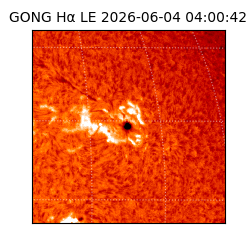 gong - 2026-06-04T04:00:42